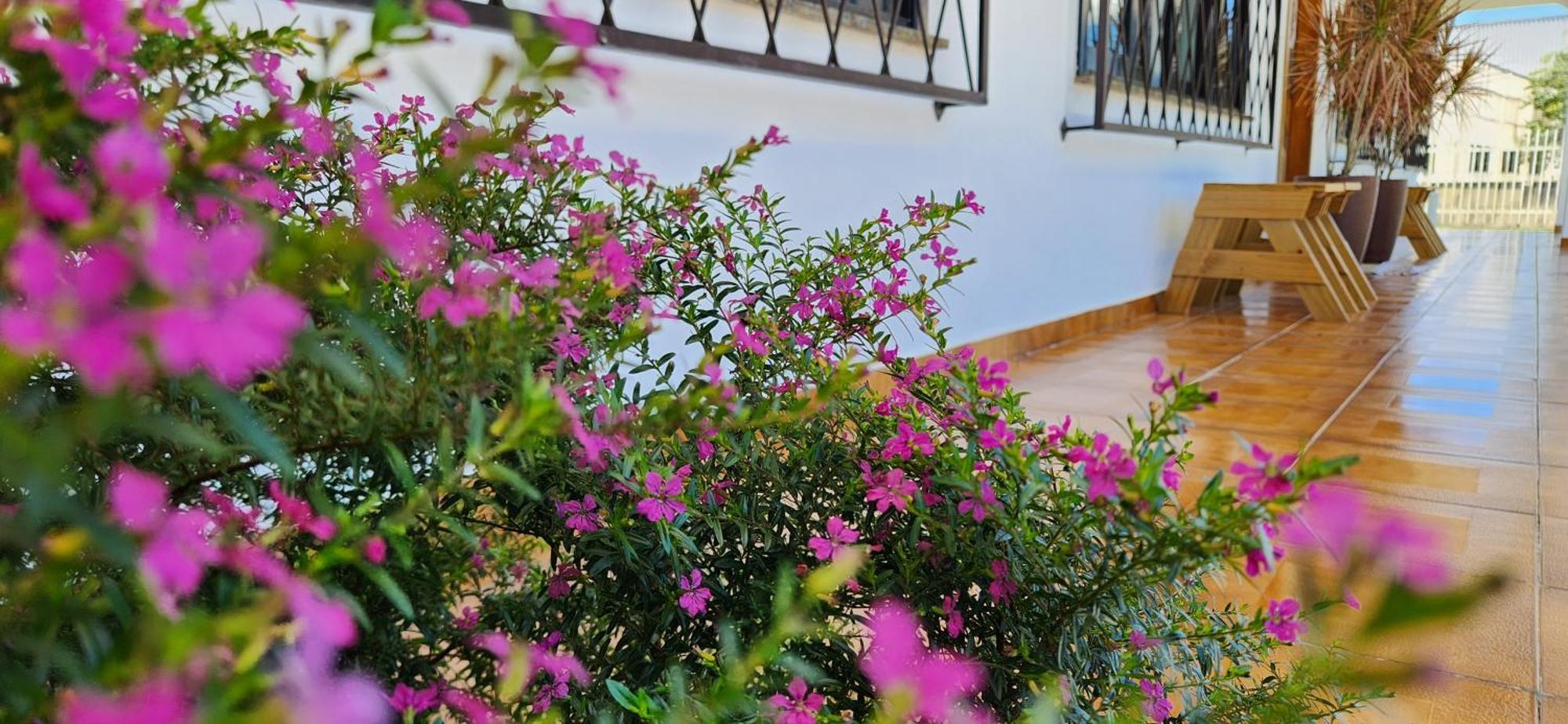 Apartamento Casa Hoffmann Pomerode Luaran gambar
