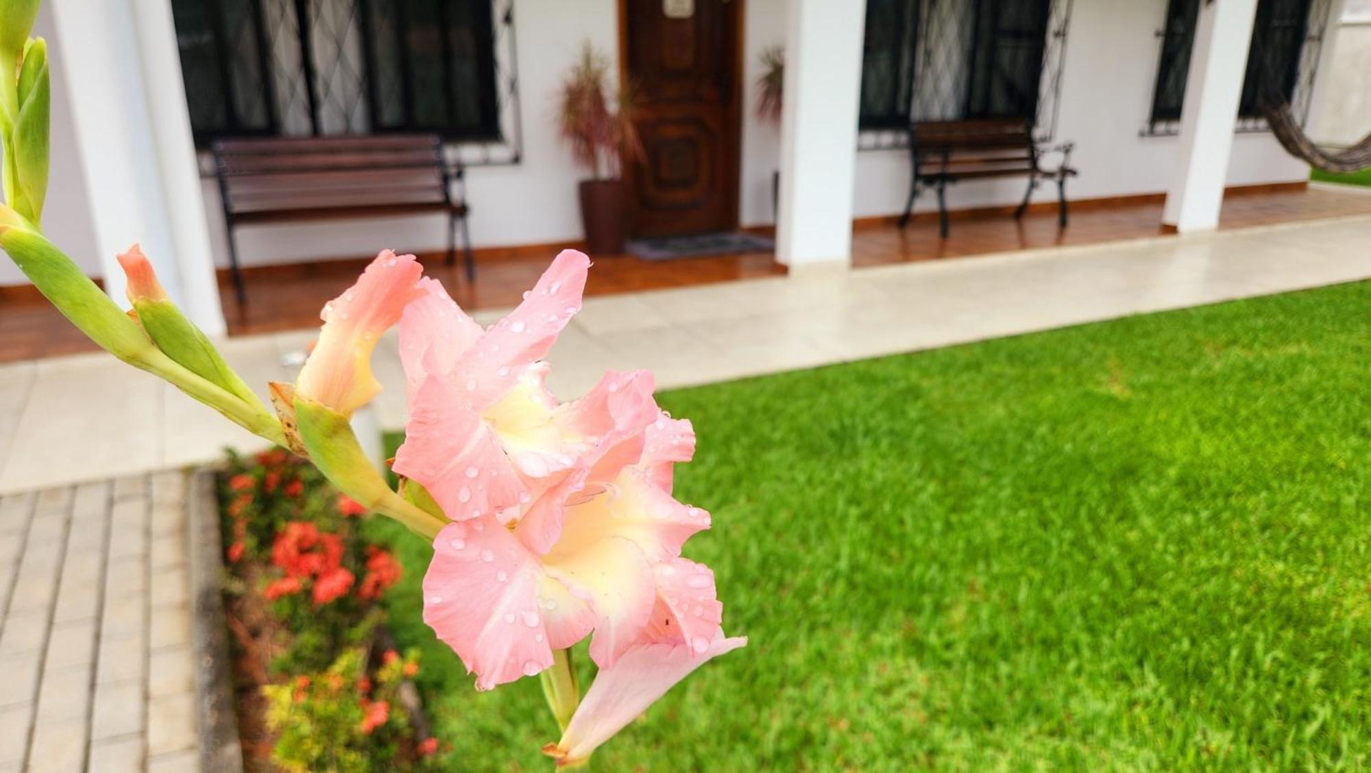 Apartamento Casa Hoffmann Pomerode Luaran gambar